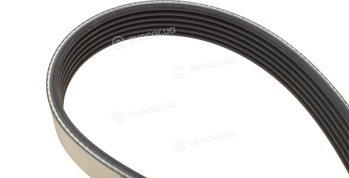Continental 6PK1390K2