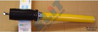 Bilstein 34-002513
