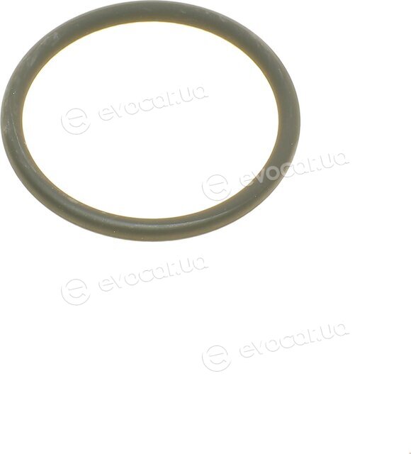 Elring 587.150