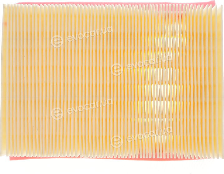 Solgy 103132