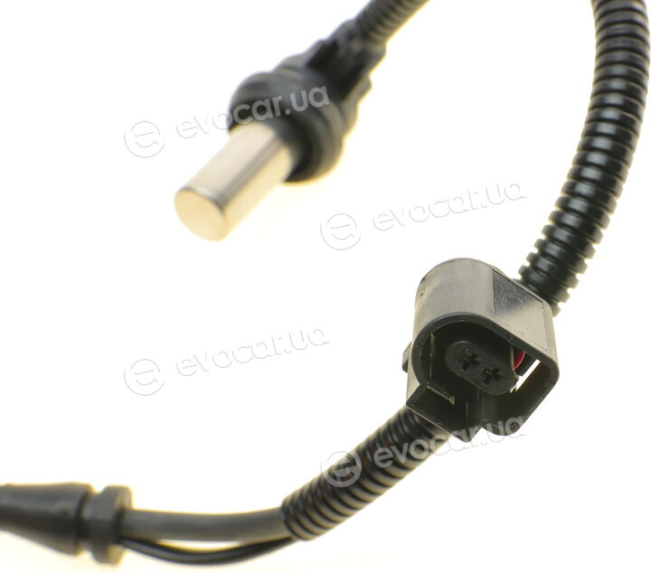 AIC 51175