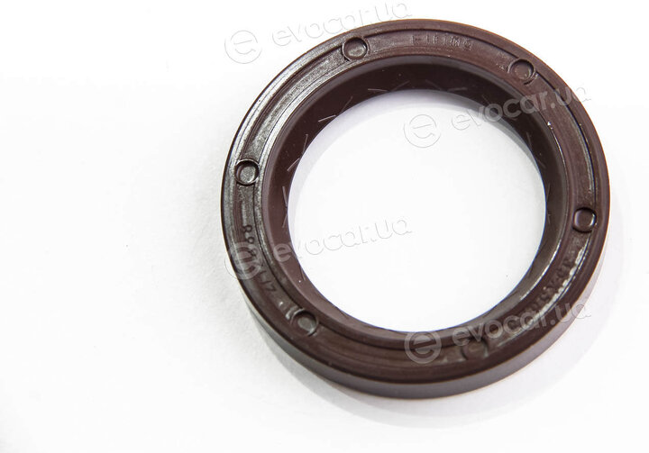 Elring 302.589