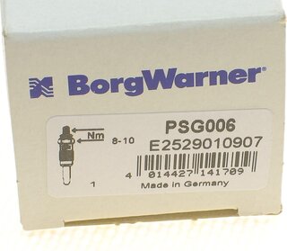 Beru PSG006