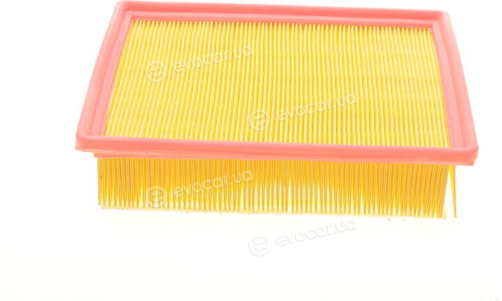 Solgy 103084