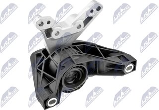 NTY ZPS-PL-081