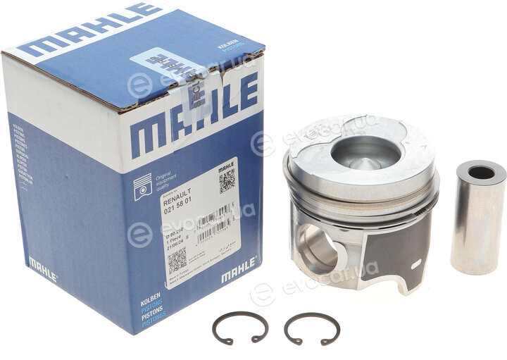 Mahle 021 58 01