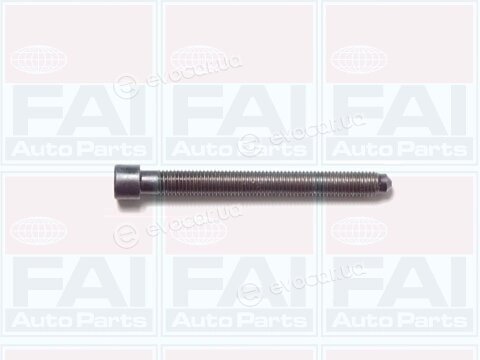 FAI B1006