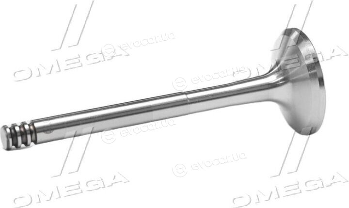 Gunes 6018