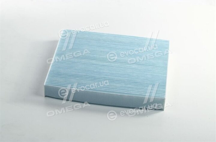Blue Print ADG02563