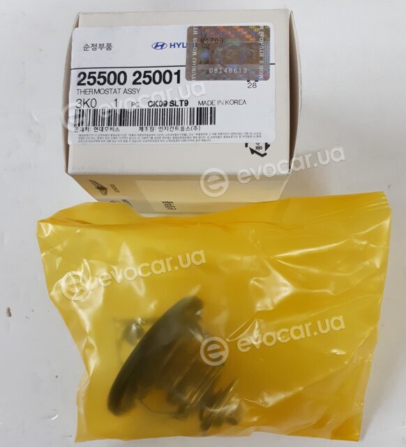 Kia / Hyundai 2550025001