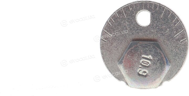 Solgy 204234