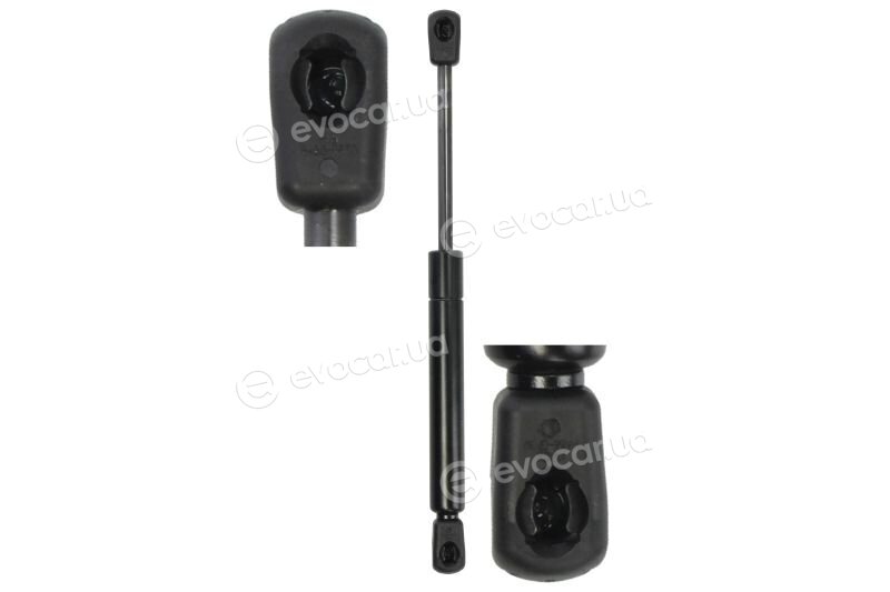 Stabilus 2697LZ