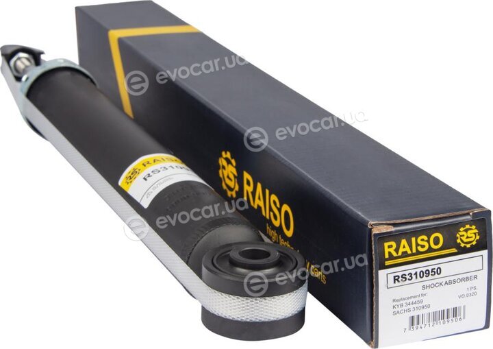 Raiso RS310950