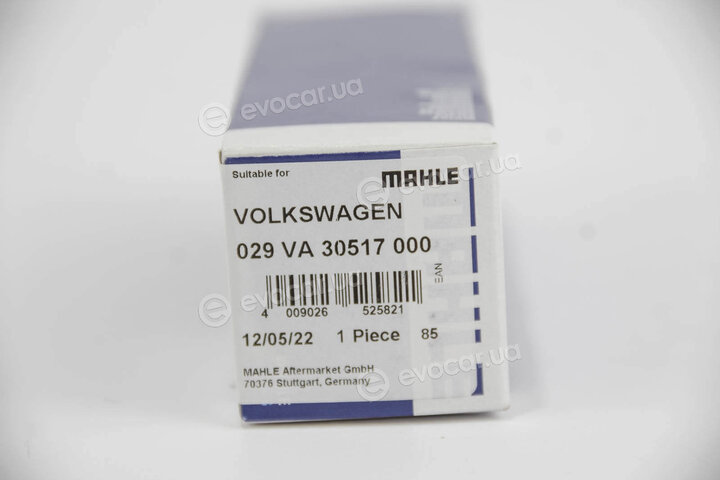 Mahle 029 VA 30517 000