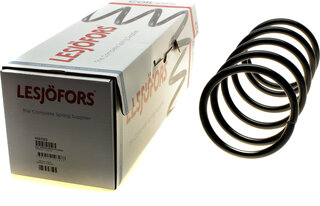 Lesjofors 4237223