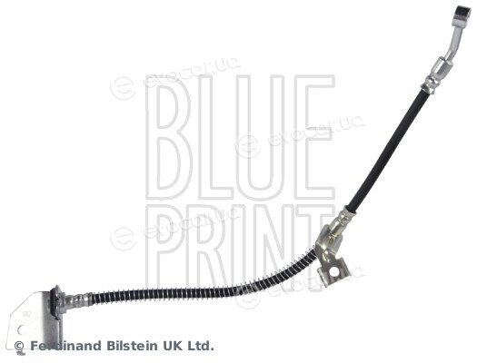 Blue Print ADBP530029