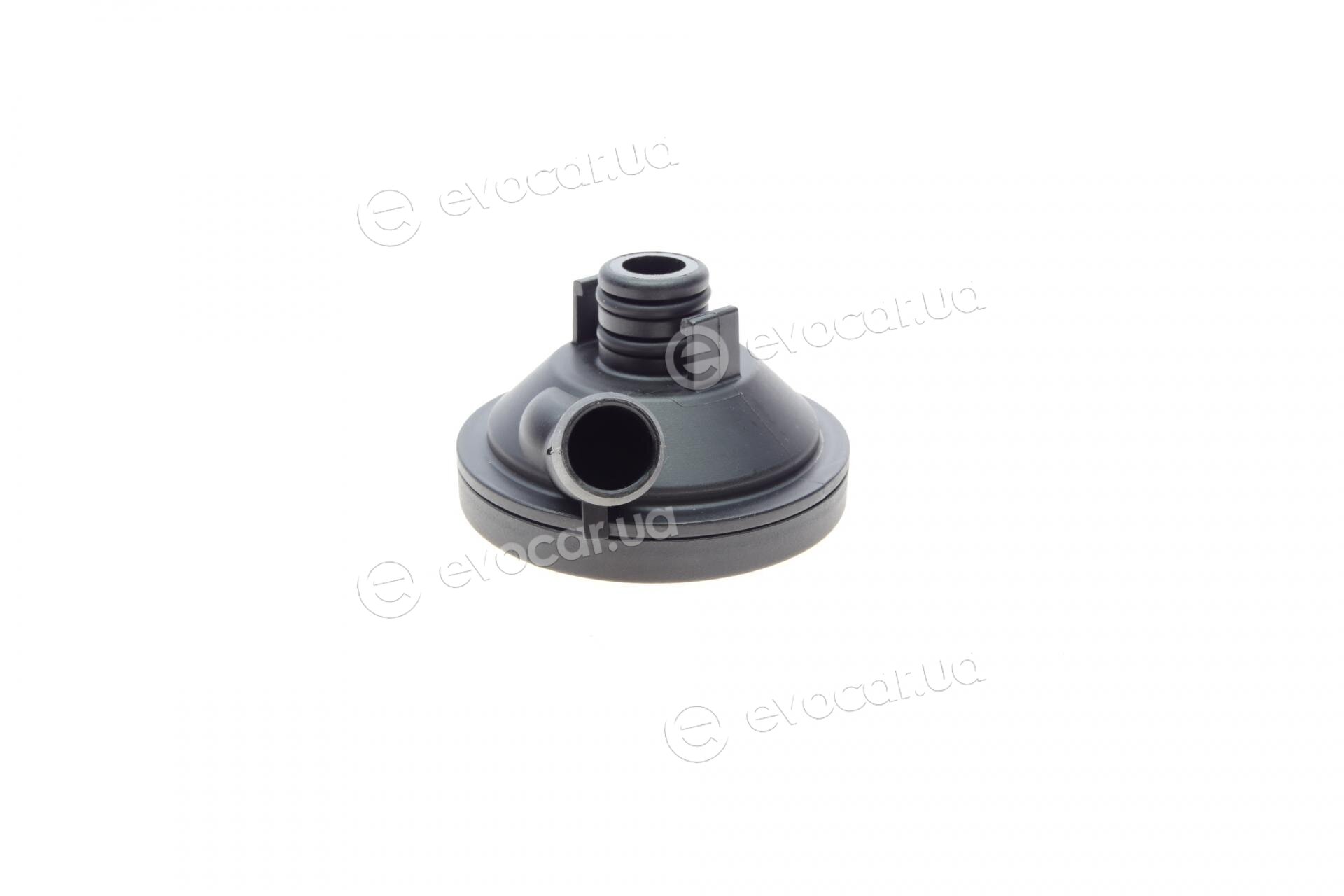 AIC 56449