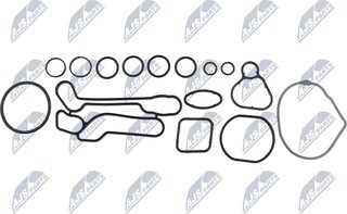 NTY CCL-PL-018