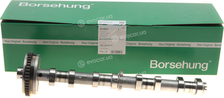 Borsehung B18979