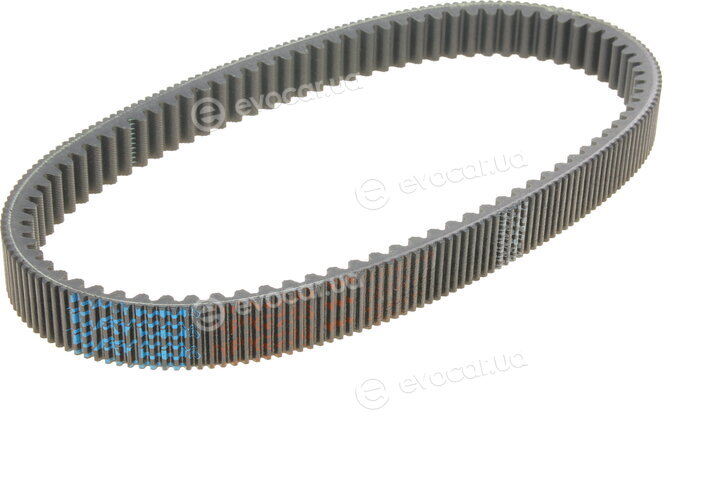Dayco HPX2236