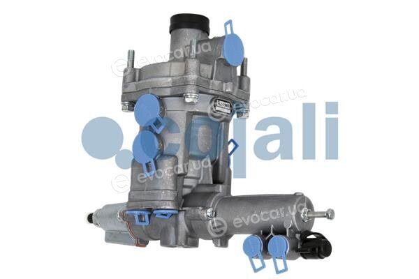Cojali 2320301