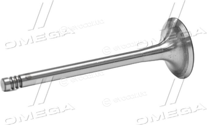 Gunes 6024
