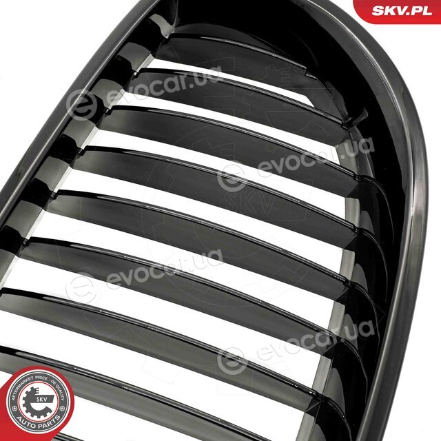 SKV 66SKV165