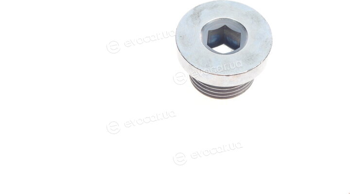 Blue Print ADBP210047