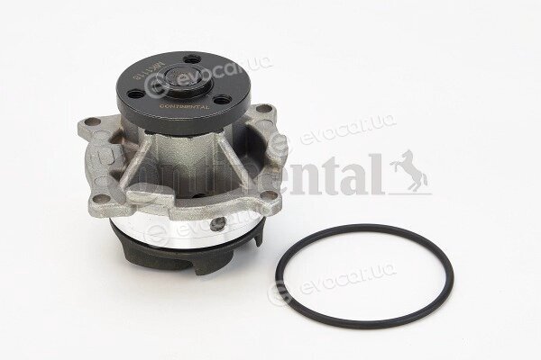 Continental WP6084