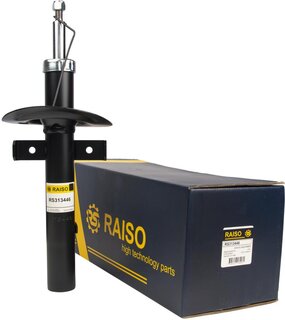 Raiso RS313446
