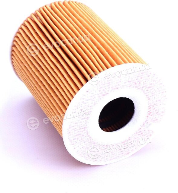 Mahle OX 254D1