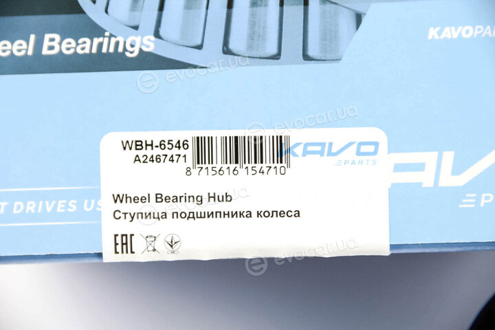 Kavo WBH-6546