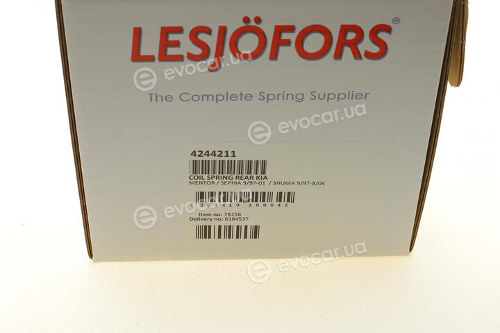 Lesjofors 4244211