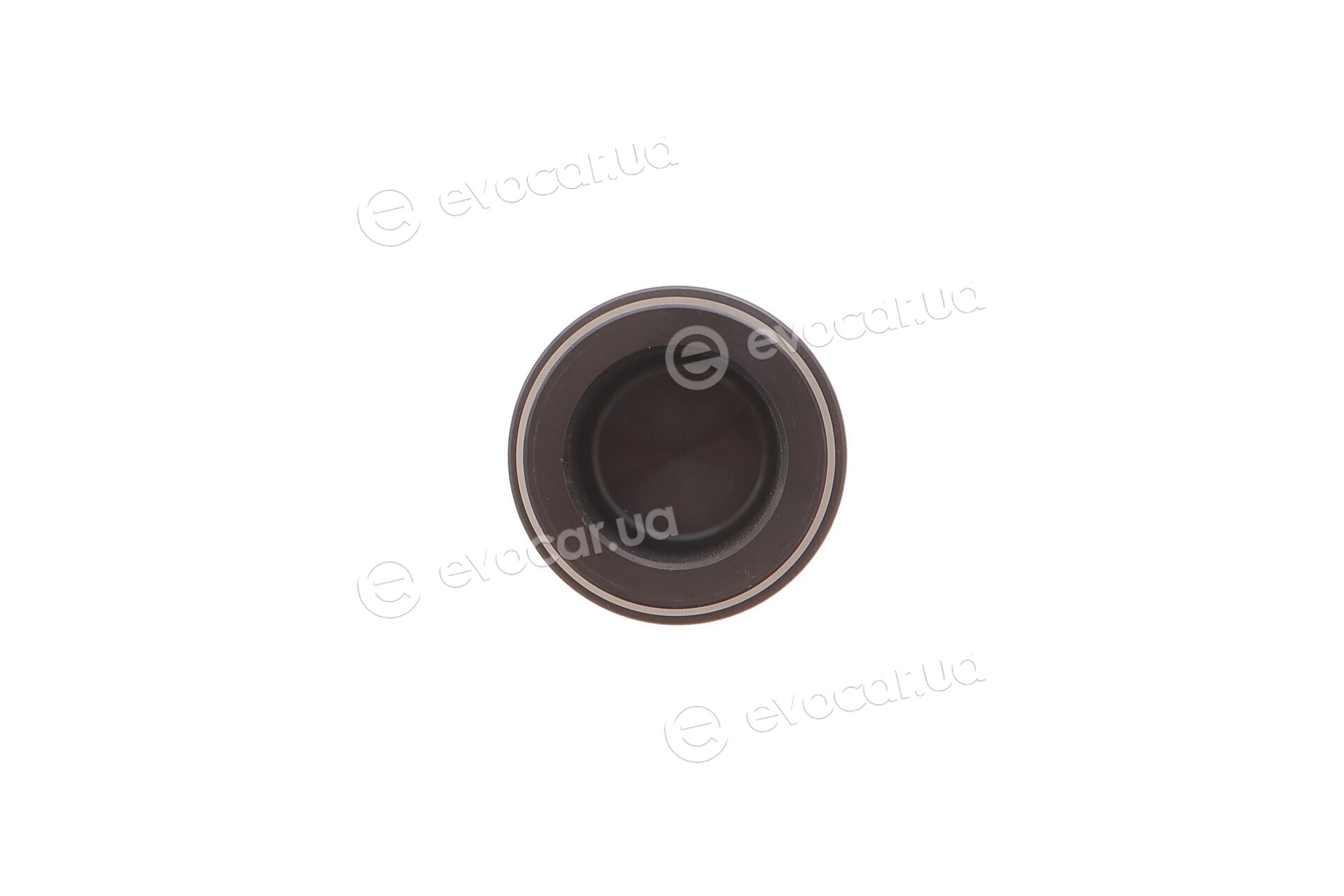 Frenkit P423005