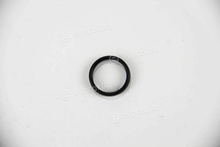 Elring 982.650