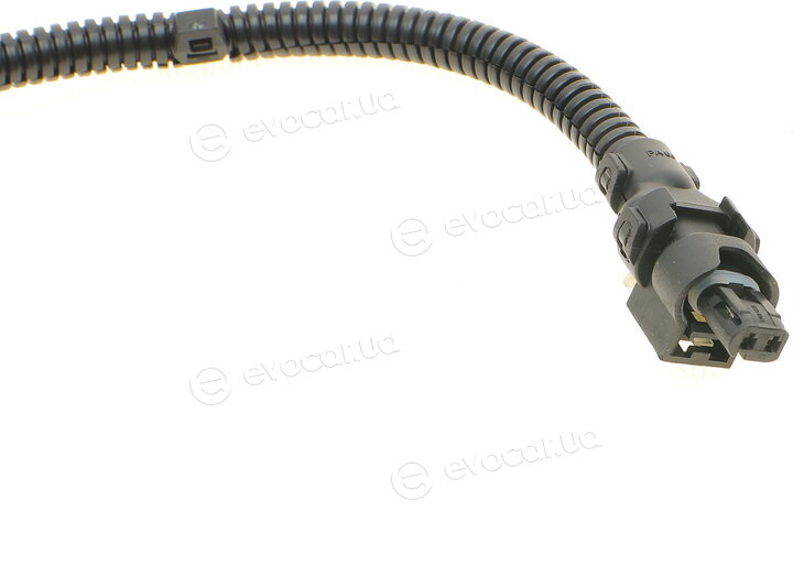 Solgy 115022