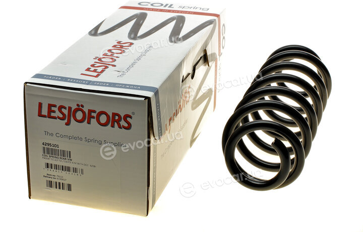 Lesjofors 4295101
