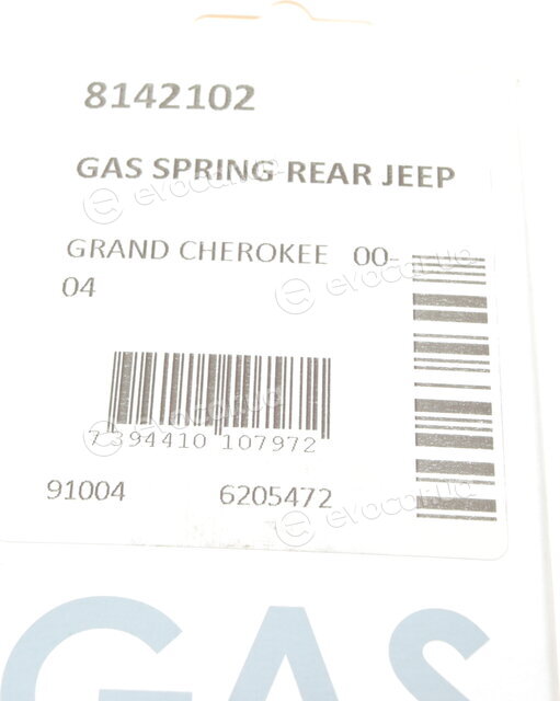 Lesjofors 8142102
