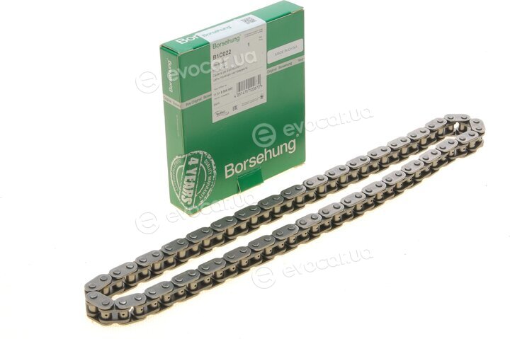 Borsehung B1C022
