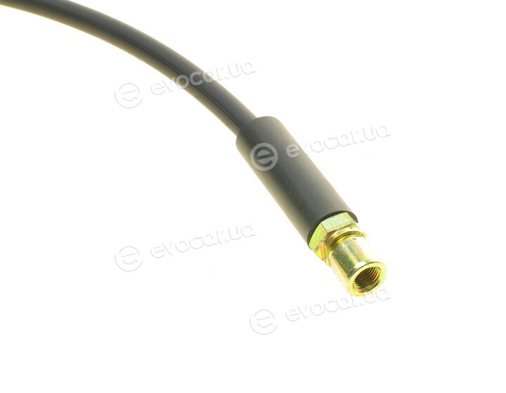 AIC 50923
