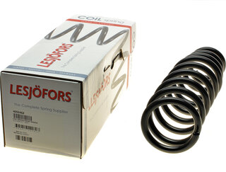 Lesjofors 4055462
