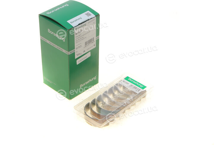 Borsehung B11331