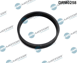 Dr. Motor DRM0258