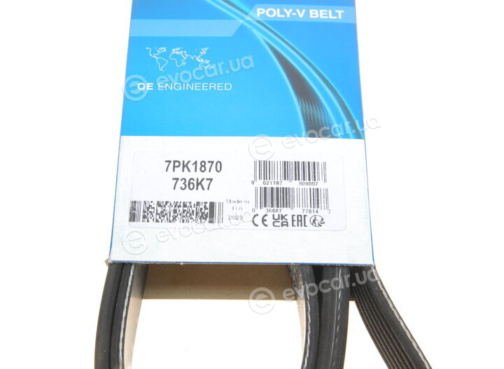 Dayco 7PK1870