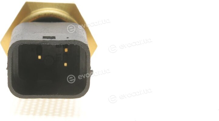 Magneti Marelli 171916011080