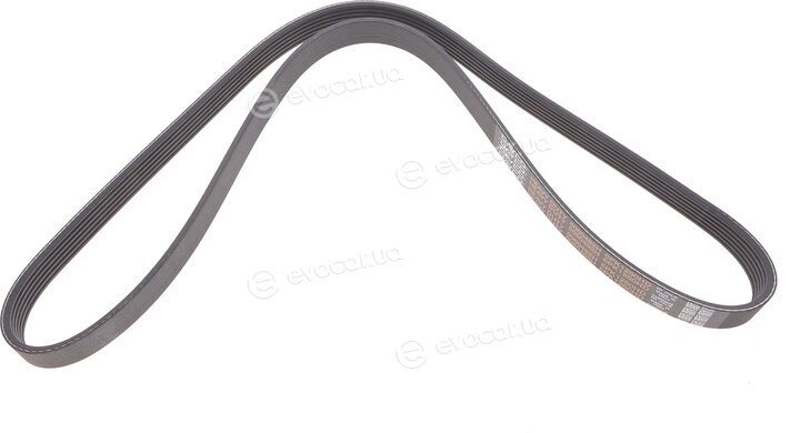 Dayco 6PK1250HD