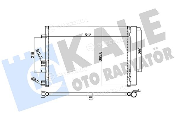 Kale 386500