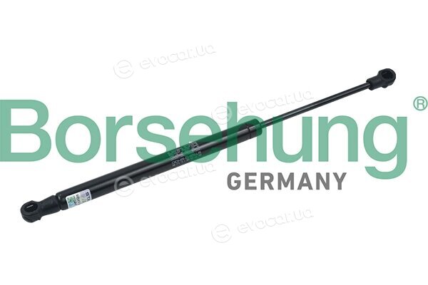 Borsehung B18439
