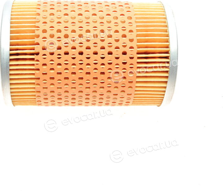 Mahle OX 41D