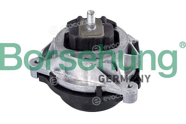 Borsehung B12601